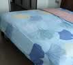 恒源祥全棉四件套100%纯棉小清新床单被套双人加大床上用品220*240cm 实拍图