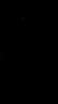 迪卡侬紧身裤女瑜伽跑步运动裤RUNW27330642021静谧黑-长裤165/82A/L 晒单实拍图