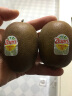 佳沛（zespri）预售 新西兰阳光金奇异果6粒装 经典果单果约80-103g 水果 猕猴桃 实拍图