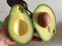 香果颜牛油果水果   新鲜应当季水果  送礼精选   精选大果10个装单果约190-220g 实拍图