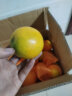 玖原农珍 赣南脐橙含箱10斤橙子优选大果 新鲜现摘水果 晒单实拍图