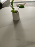 木子西年 小号陶瓷花瓶迷你多肉花盆 水培绿萝植物容器 客厅餐桌家居摆件 款式B:简(空瓶-不含植物) 实拍图
