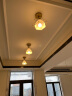 雷士餐厅灯 北欧灯具 铁艺吧台餐吊灯 工业风现代简约创意灯具餐厅灯 燕巢镂空 奢金玄关灯-带7W光源 实拍图