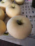 泽华果品山东烟台栖霞奶油苹果牛奶苹果水果送礼团购源头直发包邮 净重3斤7-9个 源头直发 实拍图