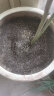 德沃多肥料进口营养土30L通用植物园艺盆栽兰花绿萝发财树有机种菜养花土壤 实拍图