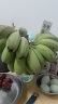 京鲜生 禁止蕉绿苹果蕉 净重7-8斤 带杆水培香蕉 新鲜水果 源头直发  晒单实拍图