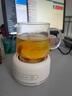 多功能花茶壶迷你养生壶家用办公室小型养生杯煮茶热牛奶电炖杯 智能款电炖杯 0.6L 实拍图