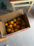 江西赣南早脐橙整箱当季新鲜早橙子榨汁水果礼盒皮薄多汁节日团购 【实惠】净重18斤单个150g+ 实拍图