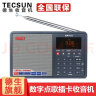 德生（Tecsun） ICR-110收音机插卡老年人数码充电播放器 便携式英语四六级高考 断点记忆 灰色+16GTF卡+USB充电器 晒单实拍图