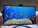 LG 31.5英寸 NanoIPS 4K HDR1000 160Hz(O/C) HDMI2.1 VRR ATW偏光技术  游戏 电竞显示器32GQ950 实拍图