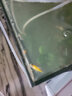 云峰海瑞 观赏鱼活体中小型热带鱼红绿灯鱼淡水水族鱼宠物接吻鱼虎皮鱼 曼龙月光组合（共10条） 实拍图