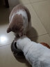 优趣无谷冻干多拼猫粮1.5kg幼猫成猫成年冻干猫粮（爱好者系列） (冻干爱好者)冻干双拼猫粮10kg 实拍图