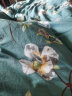 艾薇被套单件被罩纯棉温馨居家全棉双人被套夏季200x230cm  清馨花园 实拍图