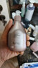 茱莉蔻（Jurlique）新臻萃活颜紧致面膜100ML 提拉紧致滋润补水保湿护肤 生日礼物 实拍图