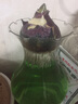 春草碧风信子水培套装风信子种球水培花卉绿植盆栽办公室内绿植盆栽花卉 P蓝珍珠 实拍图