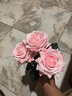 花艺赫家饰手感保湿仿真玫瑰花装饰花干花客厅装饰摆设仿真花束假花餐桌摆件 香槟手感如雪角玫【5支】 实拍图