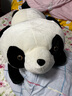 迪梦奇 熊猫公仔特大号抱抱熊大型毛绒玩具睡觉抱枕超大布娃娃儿童巨型玩偶送女生生日礼物 趴姿熊猫公仔 1.2米大号款【精心挑选+亲肤舒适+彩袋装】 实拍图