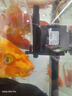 森森（SUNSUN）多功能潜水泵鱼缸上滤用增氧小型水族箱抽水泵三合一过滤器水泵 升级款30W四合一(抽水/增氧/造浪/除油膜) 实拍图