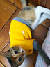 亚禾猫咪衣服秋冬天款加绒保暖防掉毛蓝猫小奶猫布偶小猫猫秋冬季服装 S【建议体重3到5斤】 实拍图