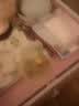 乐美雅法国品牌白兰地杯威士忌酒杯洋酒杯红酒杯葡萄酒杯水晶玻璃酒具 单只410ml 实拍图