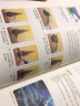 水粉的诀窍:手绘菜鸟的完全入门手册 水彩书 实拍图