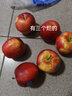品赞新西兰丹烁苹果6个单果140-160g 新鲜进口水果苹果 实拍图