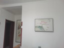 柳莺花燕免打孔电表箱装饰画现代简约客厅餐厅挂画电闸箱配电箱遮挡壁画 纤尘不染 70X50遮挡60X40表箱 上掀款 实拍图