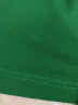 富绅 男士纯棉短袖T恤 男条纹刺绣翻领珠地网眼体恤保罗衫 绿色00TC105SM 52(180/96) 晒单实拍图