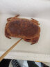 【活鲜】御鲜之王 爱尔兰鲜活面包蟹 大螃蟹 海鲜水产 面包蟹 500-600g/只 晒单实拍图