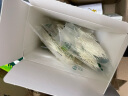 英氏（Engnice）宝宝辅食 多乐能系列原味蔬菜营养面条礼盒 3盒组 婴儿面条儿童线面 实拍图