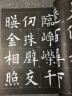 欧阳询九成宫醴泉铭 放大版 8开本米字格单字注释 历代墨宝选粹 欧体楷书书法毛笔字帖 江苏美术出版社 实拍图