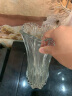 弗莱文茨简约透明玻璃花瓶水培富贵竹百合水养花器插花瓶家用客厅桌面摆件 百财花瓶25cm（透明） 实拍图