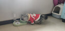 华元宠具（hoopet）猫咪衣服过年喜庆唐装猫猫冬季保暖衣小猫衣服新年拜年舞狮服装 恭喜发财舞狮唐装 M：根据图片尺寸选择 实拍图