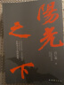 阳光之下（一部难得的“教科书式”的反腐败小说力作！） 晒单实拍图