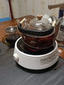 SYANF电陶炉煮茶器家用全自动小型迷你静音电热茶炉铁壶陶壶玻璃煮茶炉 7-御庭珐琅彩琥珀黄电陶炉1000W 实拍图