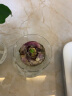浩胜 风信子种球郁金香种子水培套装观花植物室内花桌面水养花卉 1个种球(颜色随机）+塑料瓶 水培套餐 实拍图