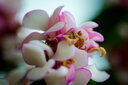 中一（zhongyi） 中一光学 85mm F2.0全画幅人像手动对焦镜头EF\AI\FE\FX 尼康口-黑色 套餐二 实拍图