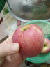 四叔公果蔬四川盐源丑苹果 现货现发红富士冰糖心苹果 整箱当季新鲜水果 5斤 70mm(含)-75mm(不含) 实拍图