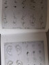 巴尔格素描教程 西方素描经典绘画速写技法 美术教材书籍 梵高巴洛克毕加索大师临摹 写实主义素描入门书 实拍图