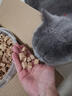 酷奇思酷奇思（COOKEYS）鸡肉猫草冻干猫咪狗狗宠物零食果蔬混合薄荷猫 【500g冻干桶】鸡肉鱼油 实拍图