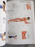 肌肉训练完全图解：女性形体健美(人邮体育出品) 实拍图