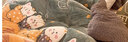 南极人（Nanjiren）牛奶绒被子冬被棉被冬季被子宿舍单人冬天加厚秋冬被子被褥被芯 奶牛贝贝【雪花绒+羊羔绒】 150x200cm秋冬被约4斤 实拍图