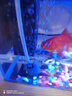 HIDOM希腾 鱼缸氧气泵 小型家用增氧泵养鱼增氧机器充氧泵水族用品 单孔配件 实拍图