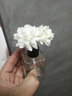 佑宸家居 无火香薰精油 藤条干花套装室内酒店香氛空气清新剂卫生间香薰 薰衣草x2+柠檬+百合+栀子花共5瓶 实拍图