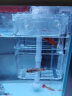 HANYANG汉洋 双层隔离盒 18*8*16cm 孔雀鱼繁殖盒 亚克力孵化盒 晒单实拍图