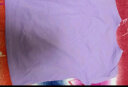 桑琴老年人内衣纯棉女士秋衣中年妈妈长袖t恤女单件上衣洋气可外穿棉 紫色(百合)纯棉 XL码建议120-140斤 晒单实拍图