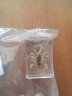 艺馨维尼真实昆虫标本套装透明树脂创意幼儿园教学观察玩具蝎子蜘蛛甲虫 黄色 黄蝎子 其他长方形尺寸  独立 实拍图