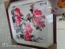 紫腾随轩新中式牡丹花开富贵装饰画客厅餐厅背景墙画卧室床头挂画壁画 图20 50*50cm（有机玻璃） 实拍图