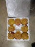 文果 烟台栖霞红富士苹果  9-12个 净重约2.5kg 新鲜水果 新年礼物 晒单实拍图