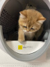 CATLINK自动猫砂盆智能电动猫厕所全封闭特大号铲屎机隔臭防外溅 升级款ProX高配+踏板 实拍图